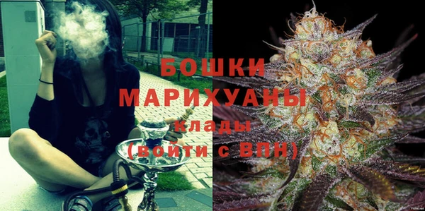сатива Белокуриха