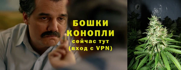 молекула духа Белоозёрский