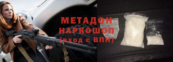 сатива Белокуриха
