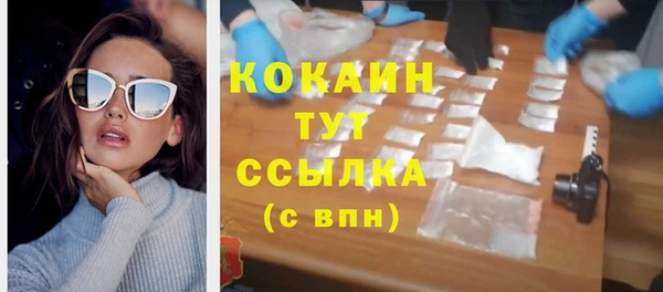 сатива Белокуриха