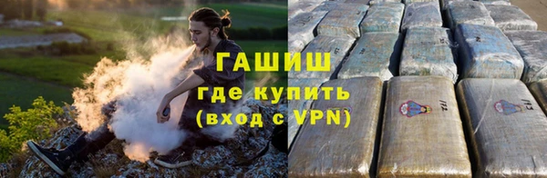 сатива Белокуриха