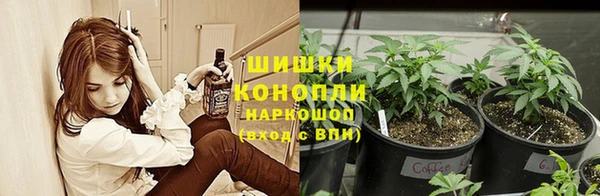 молекула духа Белоозёрский