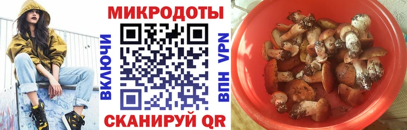 Галлюциногенные грибы Cubensis  купить наркоту  Полесск 